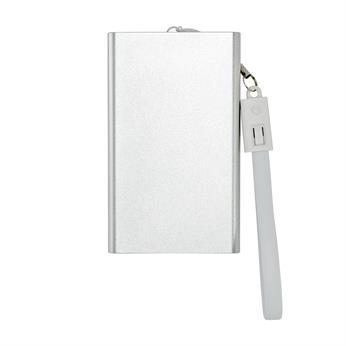 CPP_3963_Silver-Blank_127659.jpg