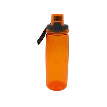 CPP_4901_orange2_137345.jpg