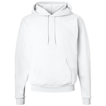 P170 - Hanes Ecosmart Hooded Sweatshirt