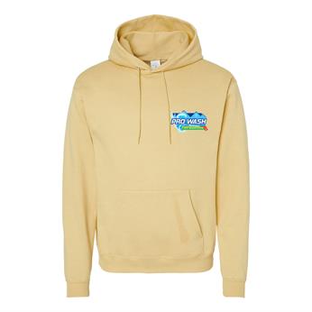 P170 - Hanes Ecosmart Hooded Sweatshirt