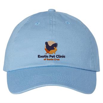 VC300A_sky-blue-logo_708605.jpg