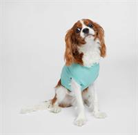 3902 - Doggie Skins Doggie Tank