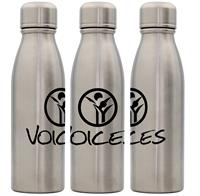 Stainless Silhouette Bottle