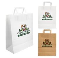Large FSC Paper Bag